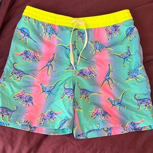 Chubbies brand Neon Dinosaur Print Swim Trunks - Aqua & Pink